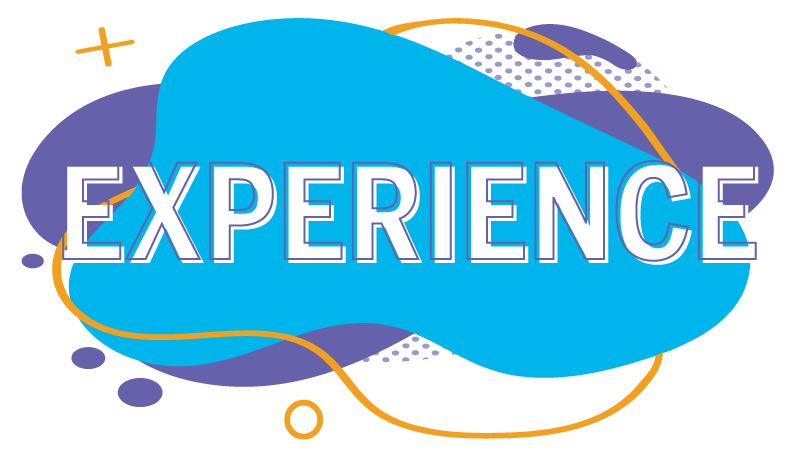 Experience